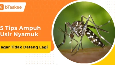 5 Cara Mengusir Nyamuk di Kamar agar Tidur Nyenyak