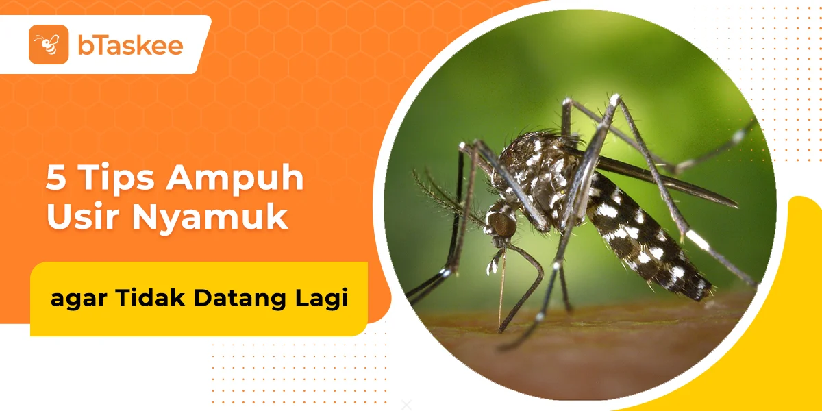 5 Cara Mengusir Nyamuk di Kamar agar Tidur Nyenyak