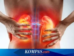5 Tanda Ginjal Bekerja Terlalu Keras yang Harus Kamu Waspadai Sekarang!