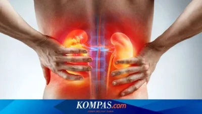 5 Tanda Ginjal Bekerja Terlalu Keras yang Harus Kamu Waspadai Sekarang!