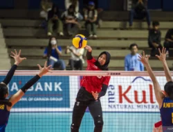 7 Liga Voli Terbaik Dunia 2026: SuperLega, V League, dan Kompetisi Elite Lainnya