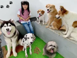Alexis Sánchez dan "Zoológico" Keluarga: 5 Anjing, Anak Pertama, dan Kehidupan di Spanyol yang Penuh Kehangatan