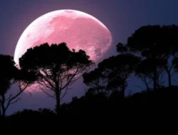 Apa Itu Fenomena Pink Moon yang Hiasi Langit Awal April 2026? Jadwal dan Asal‑Usulnya