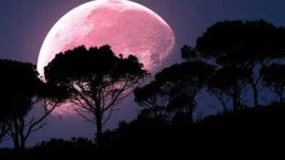Apa Itu Fenomena Pink Moon yang Hiasi Langit Awal April 2026? Jadwal dan Asal‑Usulnya