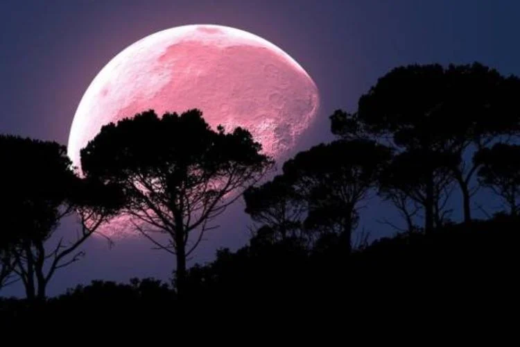 Apa Itu Fenomena Pink Moon yang Hiasi Langit Awal April 2026? Jadwal dan Asal‑Usulnya
