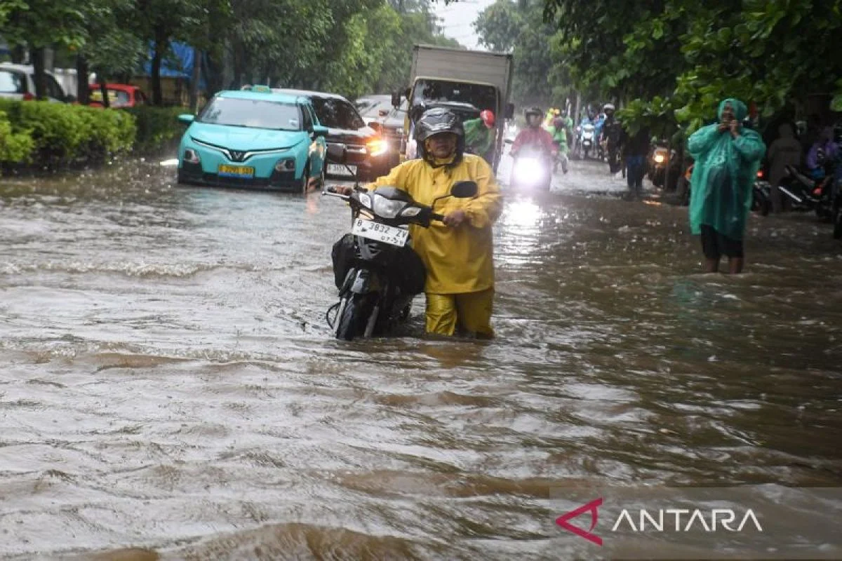 Banjir Jakarta Merambah 148 RT: Ribuan Warga Terkepung Air hingga Senin Siang