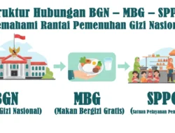 BGN Bongkar Skema 'Ternak Yayasan' di MBG: Program Gizi Bukan Ladang Cuan Pengusaha