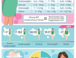 Bumil 101: Berapa Sih Kenaikan BB yang Ideal Kalo Udah Overweight?