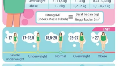 Bumil 101: Berapa Sih Kenaikan BB yang Ideal Kalo Udah Overweight?