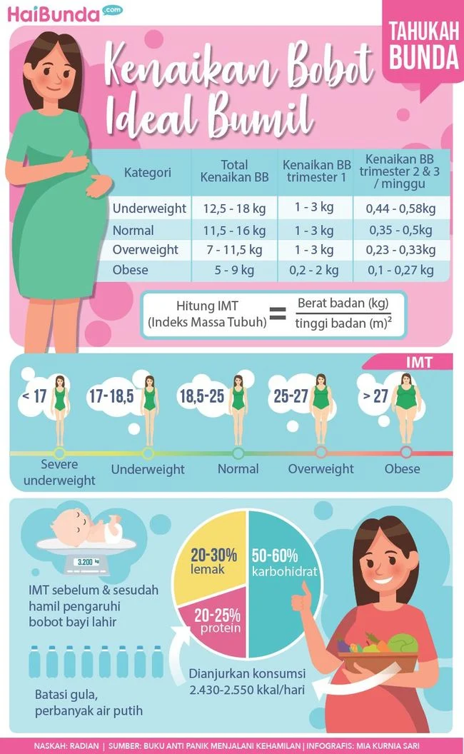 Bumil 101: Berapa Sih Kenaikan BB yang Ideal Kalo Udah Overweight?