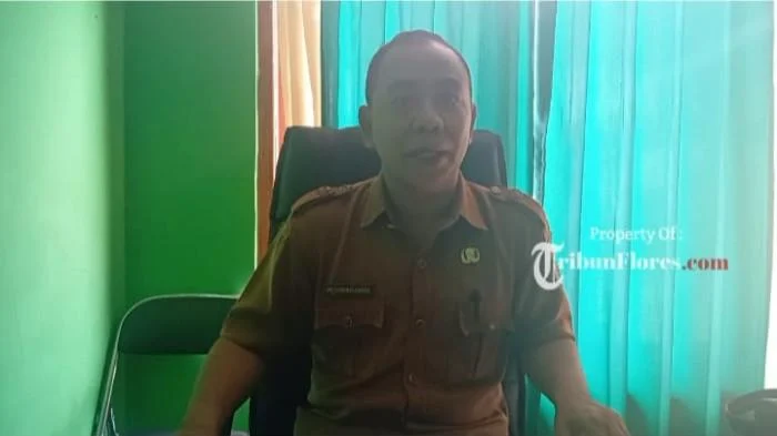 Cara Kerja Dinas Lingkungan Hidup Manggarai Barat: Hanya Tangani Sampah di Area Sentral Pariwisata, di Pinggiran Kota Tak Terurus