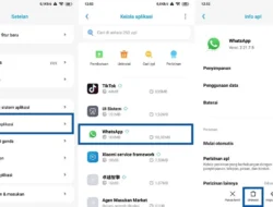 Cara Menghapus Aplikasi di Tablet Android dan iPad dengan Mudah