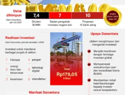 Danantara Tanggapi Isu Investasi di Studio A24 Asal Amerika