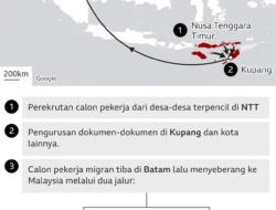 Dari Desa ke Peti Mati: Membaca Masalah Perdagangan Orang di NTT