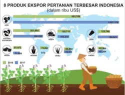 Dari Limbah Menjadi Produk Unggulan: Indonesia Raih Ekspor Farmasi ke 50 Negara, Termasuk Chad