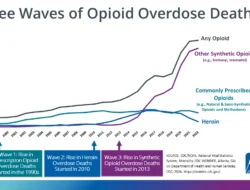 Devastasi Global: Dari Ledakan Beirut hingga Ancaman Jalur Perdagangan dan Krisis Opioid