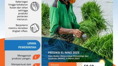 Diperkirakan Datang pada April, Begini Prediksi Dampak Godzilla El Nino 2026
