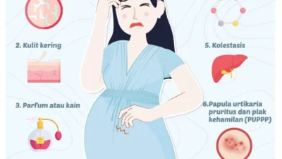 Drama Gatal Parah Pas Hamil: Kenali PUPPP & Prurigo Agar Tidak Panik