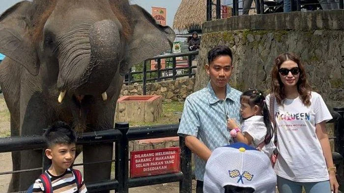Dua Anak Harimau Bengal di Bandung Zoo Mati Tiba-tiba, Virus Panleukopenia Jadi Penyebab Utama