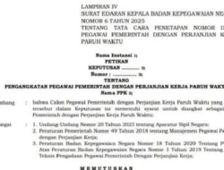 Dua Bulan Kantongi SK, Nakes PPPK Paruh Waktu di Manggarai Timur Belum Digaji
