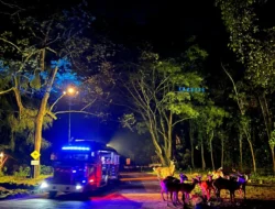 Eksplorasi Malam di Solo Safari: Safari Night Adventure Jadi Magnet Wisata Edukasi Lebaran