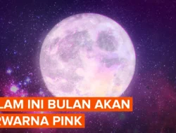 Fakta-Fakta Fenomena Pink Moon yang Sebentar Lagi Hiasi Langit Indonesia, Catat Jadwalnya
