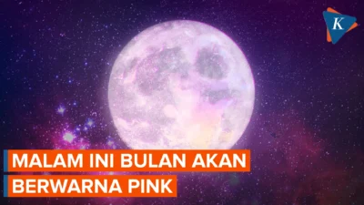 Fakta-Fakta Fenomena Pink Moon yang Sebentar Lagi Hiasi Langit Indonesia, Catat Jadwalnya