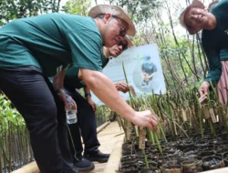 Gerakan Menanam Pohon oleh Tokoh Agama “Turun Gunung” Pulihkan Hutan di Tanah Batak