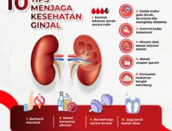 Ginjal: Organ Vital yang Menjadi Fokus Utama saat Menghadapi Gangguan Kesehatan