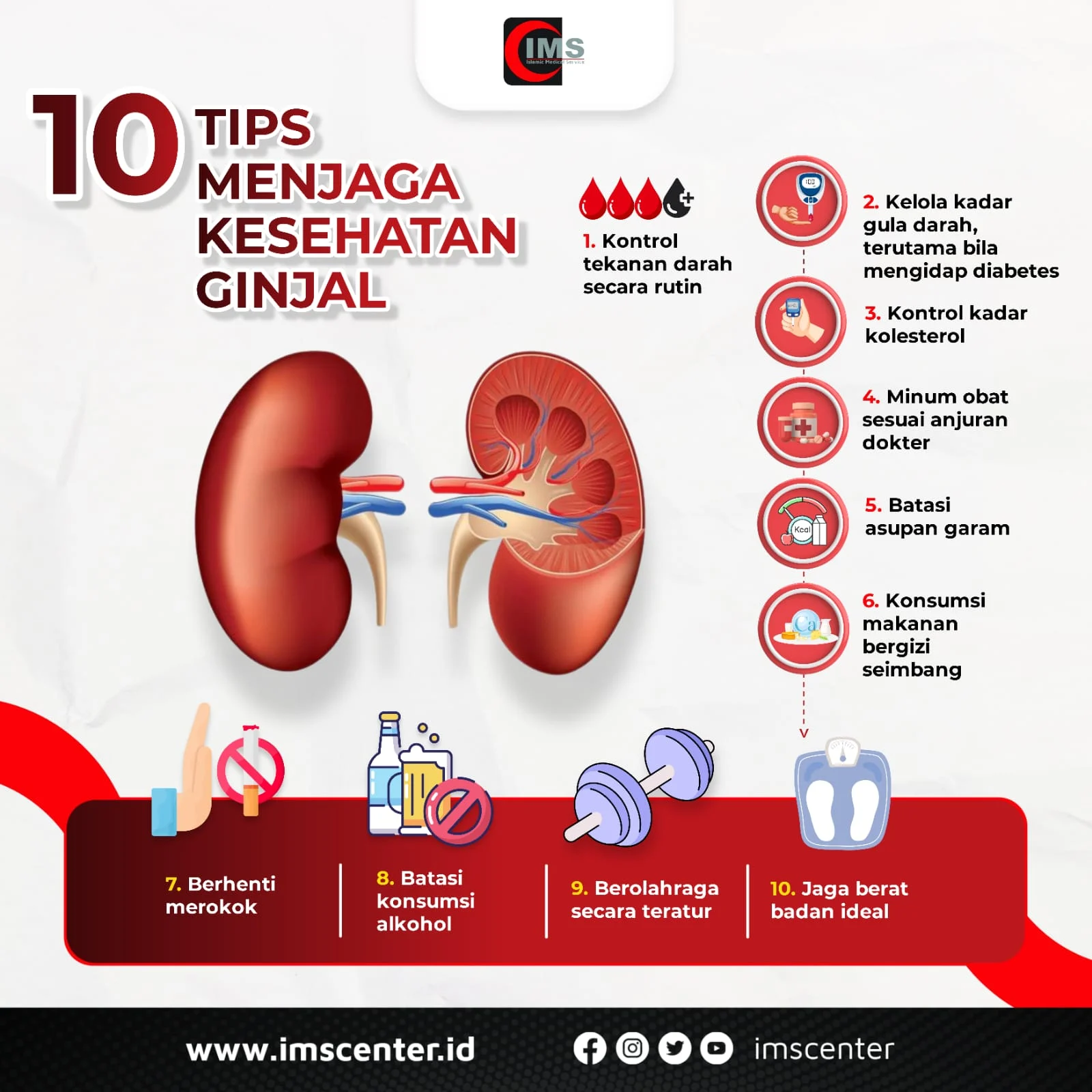 Ginjal: Organ Vital yang Menjadi Fokus Utama saat Menghadapi Gangguan Kesehatan