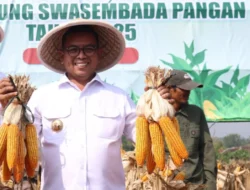 Gubernur Andra Soni Dorong Banten Capai Swasembada Jagung lewat Kolaborasi Lintas Sektor