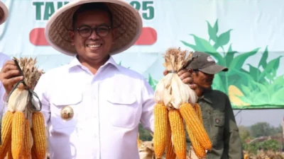 Gubernur Andra Soni Dorong Banten Capai Swasembada Jagung lewat Kolaborasi Lintas Sektor