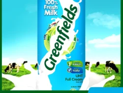 Healthy Habits: Rekomendasi Susu Full Cream Terbaik untuk Konsumsi Harian