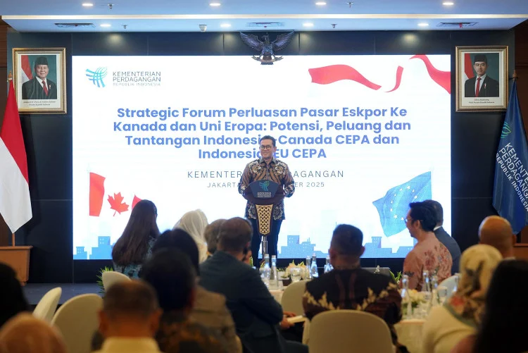 Indonesia Siapkan Tim Koordinasi Usai AS Tekan Perkuatan Aturan USMCA, Tarif Turun & Tantangan Kapasitas Produksi