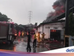 Kebakaran Pabrik Terpal di Bogor dan Tragedi Trail Run Lebarun: Dampak, Penanganan, dan Panggilan Keselamatan