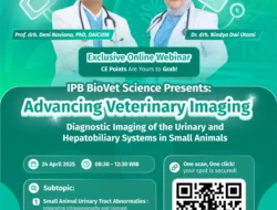 Kedokteran Hewan IPB University Tembus Top 100 QS WUR by Subject Veterinary Science