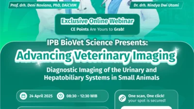 Kedokteran Hewan IPB University Tembus Top 100 QS WUR by Subject Veterinary Science