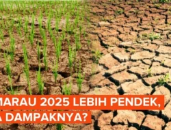 Kemarau 2026 Datang Lebih Awal, Bandung Raya Diprediksi Lebih Kering: Apa Dampaknya?