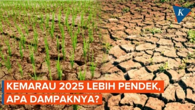 Kemarau 2026 Datang Lebih Awal, Bandung Raya Diprediksi Lebih Kering: Apa Dampaknya?