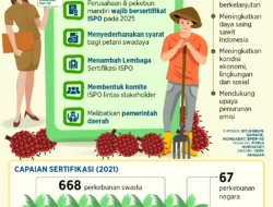 Kementan Perkuat Standar ISPO, Industri Sawit Indonesia Dipacu Lebih Berkelanjutan dan Berdaya Saing