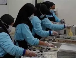 Kualitas Makanan MBG di Lebak Dipertanyakan, IMALA Desak Penutupan Dapur dan Satgas Bertindak