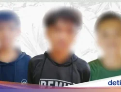 Lebih dari Sebulan Dilaporkan, Polisi Belum Tangkap Terduga Pelaku Pemerkosaan Belasan Remaja Pria di Adonara