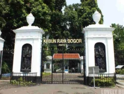 Libur Lebaran ke Kebun Raya Bogor, Aktivitas Menarik yang Bisa Dilakukan