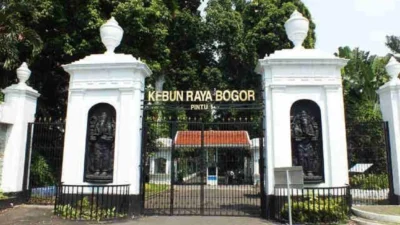 Libur Lebaran ke Kebun Raya Bogor, Aktivitas Menarik yang Bisa Dilakukan