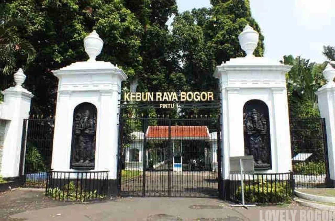 Libur Lebaran ke Kebun Raya Bogor, Aktivitas Menarik yang Bisa Dilakukan