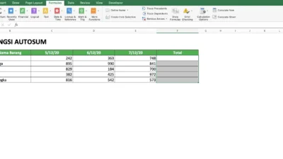 Menguasai Fitur AutoSum untuk Kerja Kilat di Excel, Keajaiban Satu Klik