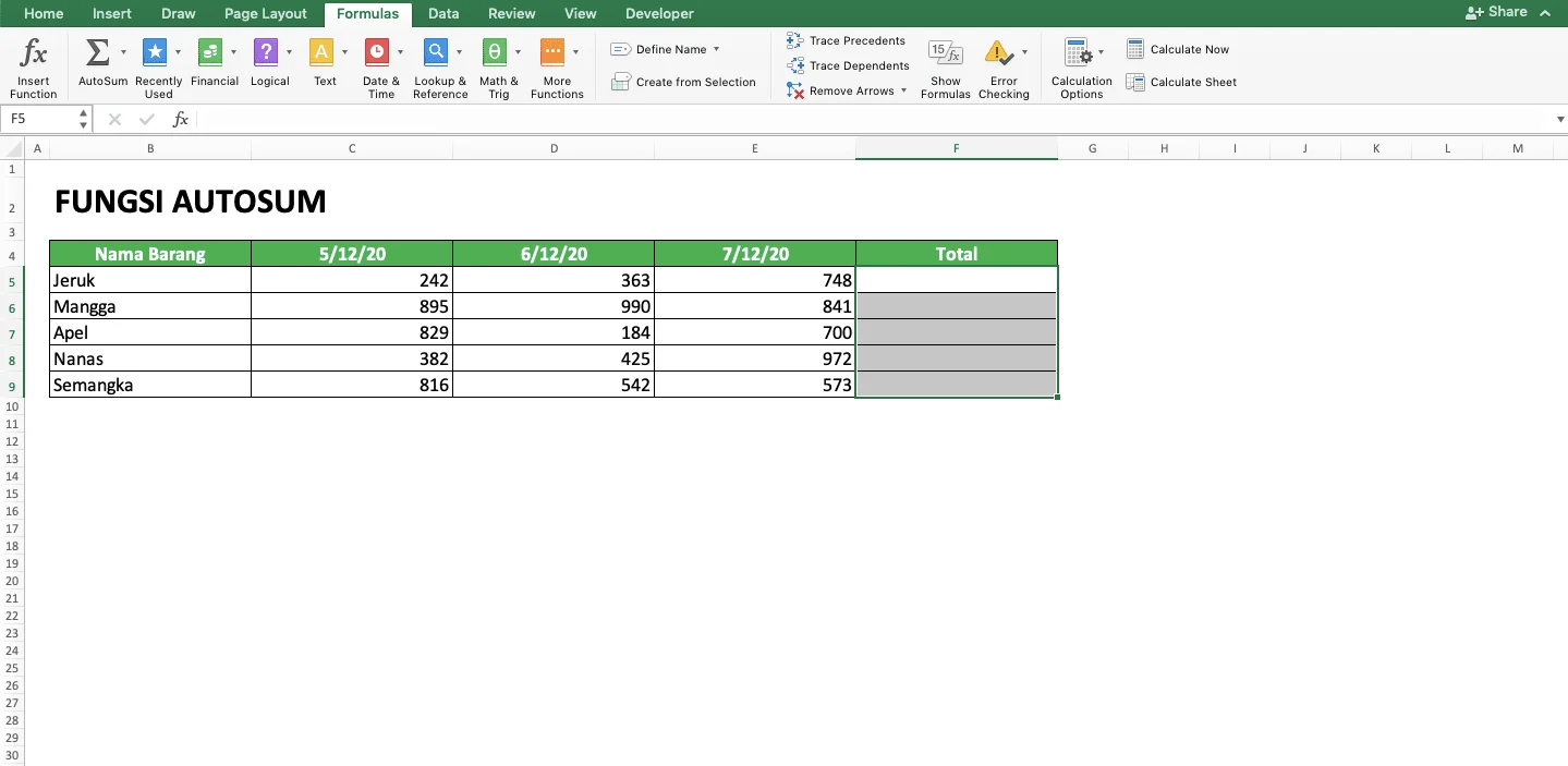Menguasai Fitur AutoSum untuk Kerja Kilat di Excel, Keajaiban Satu Klik