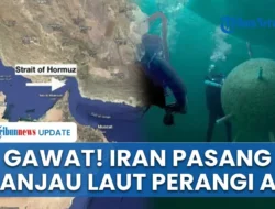 Misteri di Selat Hormuz: Kapal Indonesia Diduga Tertembak Rudal, 3 WNI Hilang Tanpa Jejak
