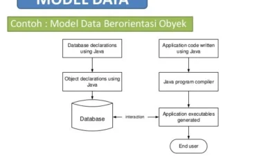 Model Data: Bahasa Universal untuk Memahami dan Mengelola Informasi