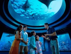 Ngintip Kehidupan Kuda Laut dari Dekat? Ini Tur Eksklusif di Singapore Oceanarium!